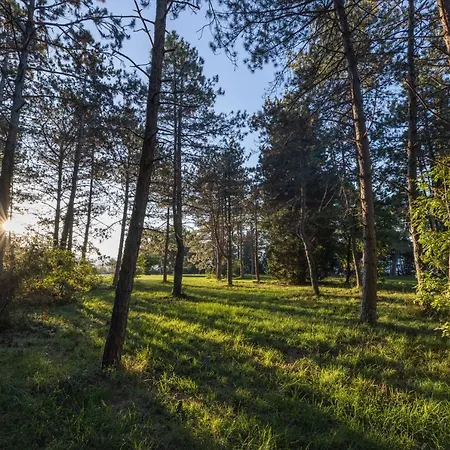 度假村 Depandansa Bor** 安卡兰