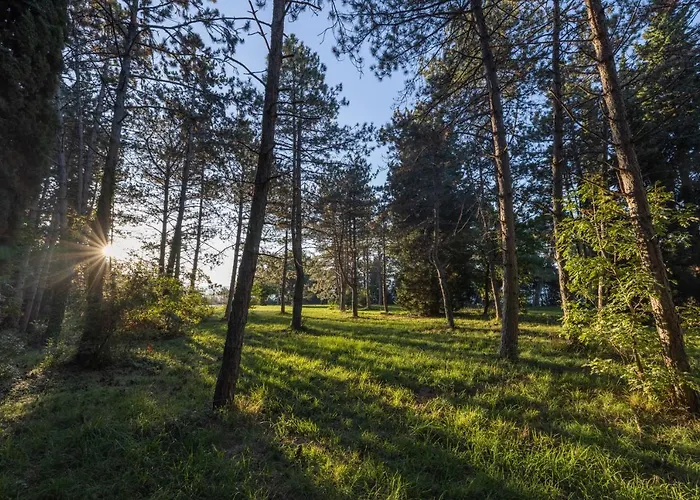 Semesteranläggning (resort) Depandansa Bor** Ankaran