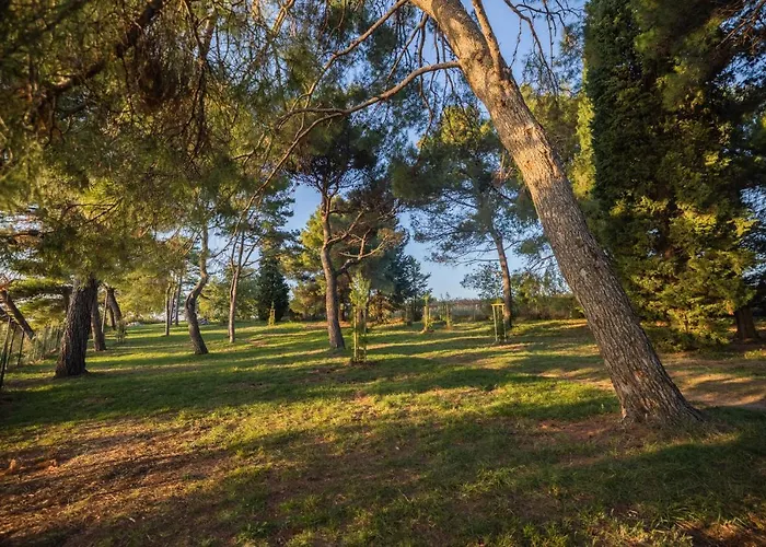 Depandansa Bor** Ankaran